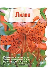 Лилии