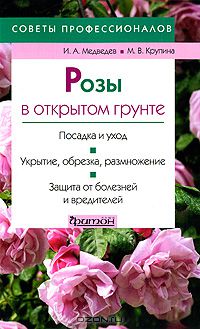 - Розы в открытом грунте