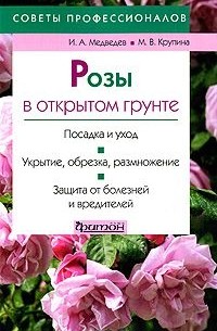  - Розы в открытом грунте