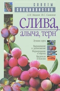 Слива, алыча, терн