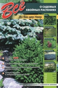 Все о самых популярных хвойных растениях