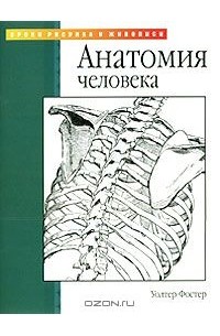 Уолтер Т. Фостер - Анатомия человека
