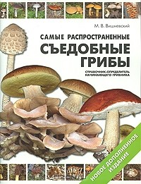 Михаил Вишневский - Самые распространенные съедобные грибы. Справочник-определитель начинающего грибника
