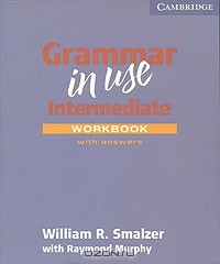  - Grammar in Use: Workbook with Answers