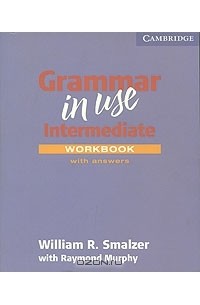  - Grammar in Use: Workbook with Answers