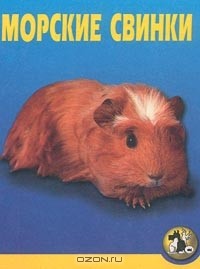 Елена Котенкова - Морские свинки