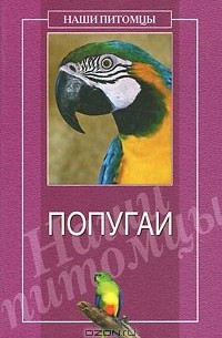Попугаи