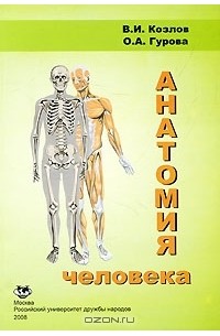  - Анатомия человека