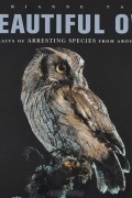 Marianne Taylor - Beautiful Owls