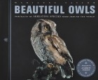 Marianne Taylor - Beautiful Owls