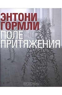 Поле притяжения / Domain Field