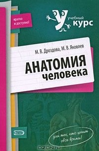  - Анатомия человека