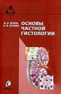 Основы частной гистологии