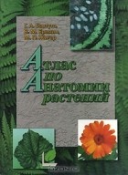  - Атлас по анатомии растений