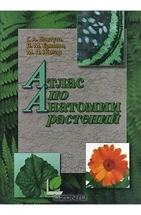  - Атлас по анатомии растений