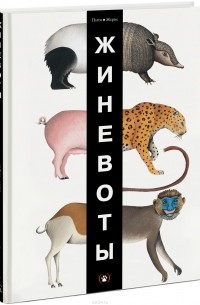  - ЖИНЕВОТЫ