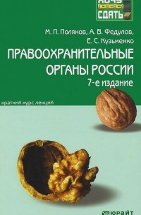  - Правоохранительные органы России. Краткий курс лекций