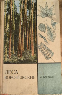 Леса воронежские