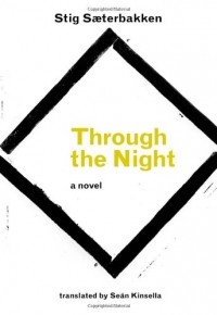 Stig Saeterbakken - Through the Night