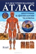  - Иллюстрированный атлас анатомии и физиологии человека