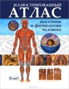  - Иллюстрированный атлас анатомии и физиологии человека