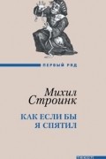 Михил Строинк - Как если бы я спятил