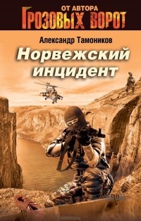 Александр Тамоников - Норвежский инцидент