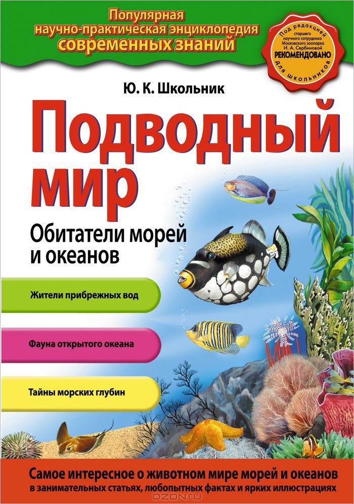 Фото Мир Морей И Океанов