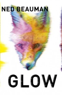 Ned Beauman - Glow