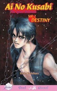 Reiko Yoshihara - Ai No Kusabi: The Space Between. Volume 2: Destiny