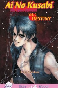 Reiko Yoshihara - Ai No Kusabi: The Space Between. Volume 2: Destiny