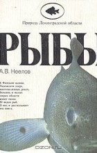 А. Неелов - Рыбы