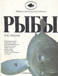 А. Неелов - Рыбы