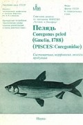 без автора - Пелядь Coregonus peled (Gmelin, 1788) (Pisces: Coregonidae): Систематика, морфология, экология, продуктивность