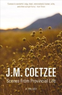 J.M. Coetzee - Scenes from Provincial Life