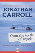 Jonathan Carroll - From the Teeth of Angels