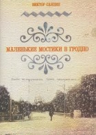 Виктор Саяпин - Маленькие мостики в Гродно