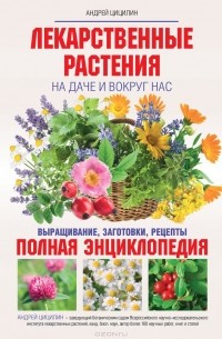 Андрей Цицилин - Лекарственные растения на даче и вокруг нас