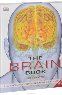 Рита Картер - The Brain Book