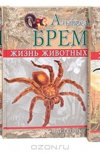 Жизнь животных. Насекомые (комплект из 3 книг)