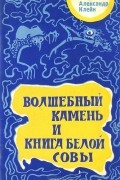 Александр Клейн - Волшебный камень и книга белой совы