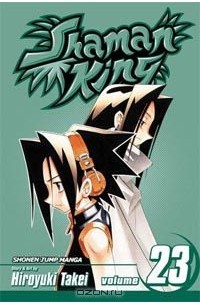 Shaman King, Vol. 23: Epilogue IV