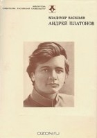Владимир Васильев - Андрей Платонов