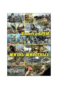 Жизнь животных. Т. 2. Птицы