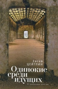 Евсей Цейтлин - Одинокие среди идущих. Из дневников этих лет