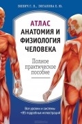 Атлас. Анатомия и физиология человека