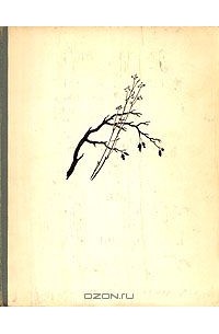 Тарусские страницы