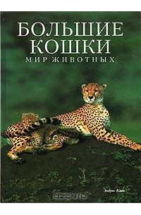 Эндрю Клив - Большие кошки