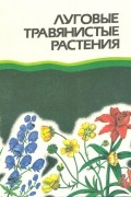 Луговые травянистые растения. Биология и охрана
