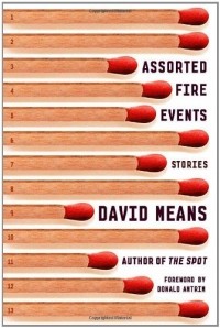 Дэвид Минс - Assorted Fire Events
